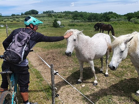 Kolesarjenje v Slovenski Istri in srečanje s konji