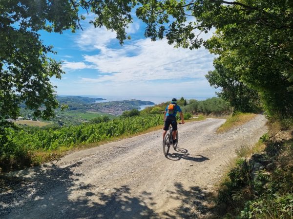 Razled na slovensko Istro in kolesarjenje
