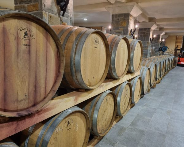 Ogled vinske kleti Korenika-Moškon