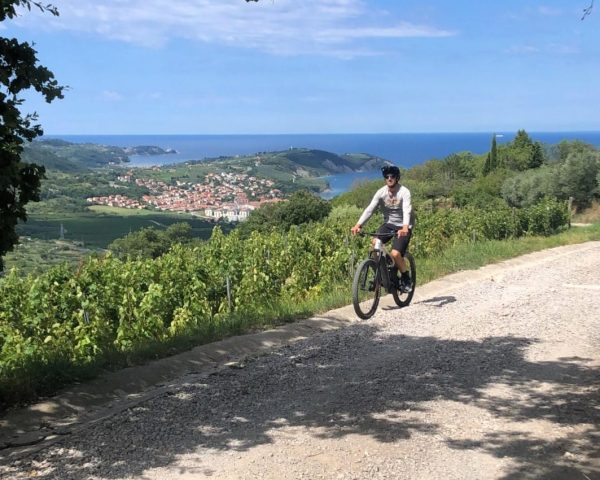 IMG-20230831-WA0003-1