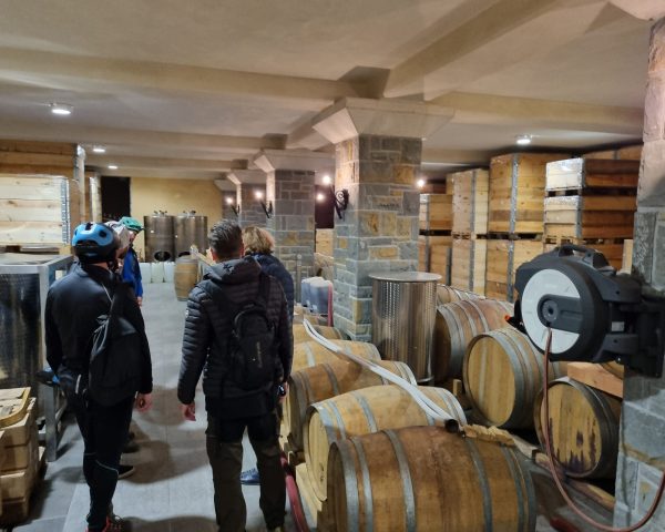 Ogled vinske kleti Koreninka & MOškon Bora Experience - Vodene kolesarske ture / Guided e-bikes tours Izola