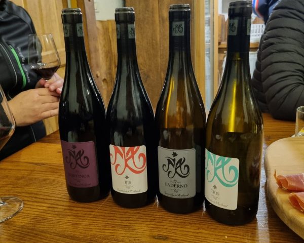 Koreninka & MOškon Bora Experience - Vodene kolesarske ture / Guided e-bikes tours Izola